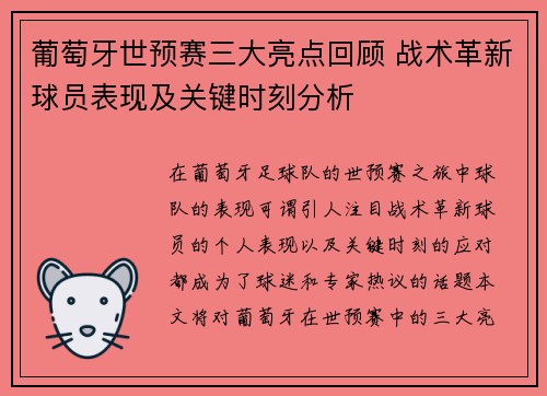 葡萄牙世预赛三大亮点回顾 战术革新球员表现及关键时刻分析