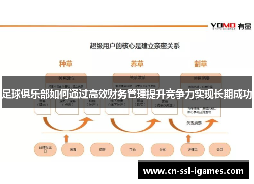 足球俱乐部如何通过高效财务管理提升竞争力实现长期成功 足球俱乐部如何通过高效财务管理提升竞争力实现长期成功